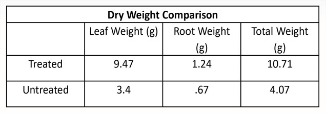 Dry Weight Comparison