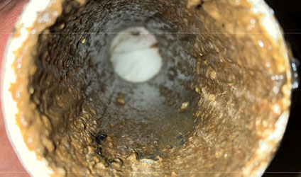 Verification 1 Image