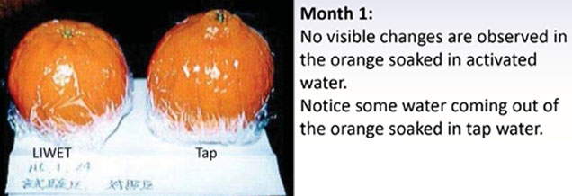 Orange Month 1